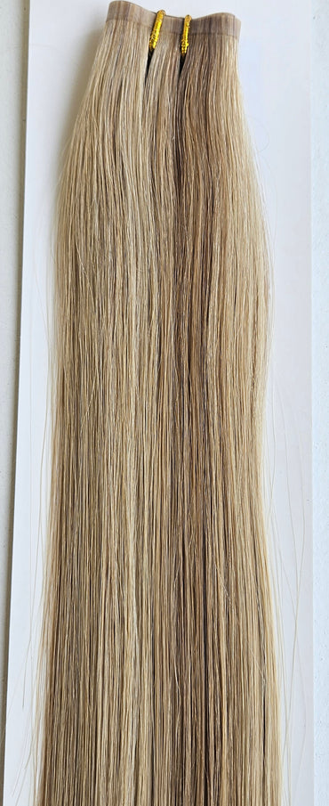 Human Hair Filler Clip-in Colour 10/22