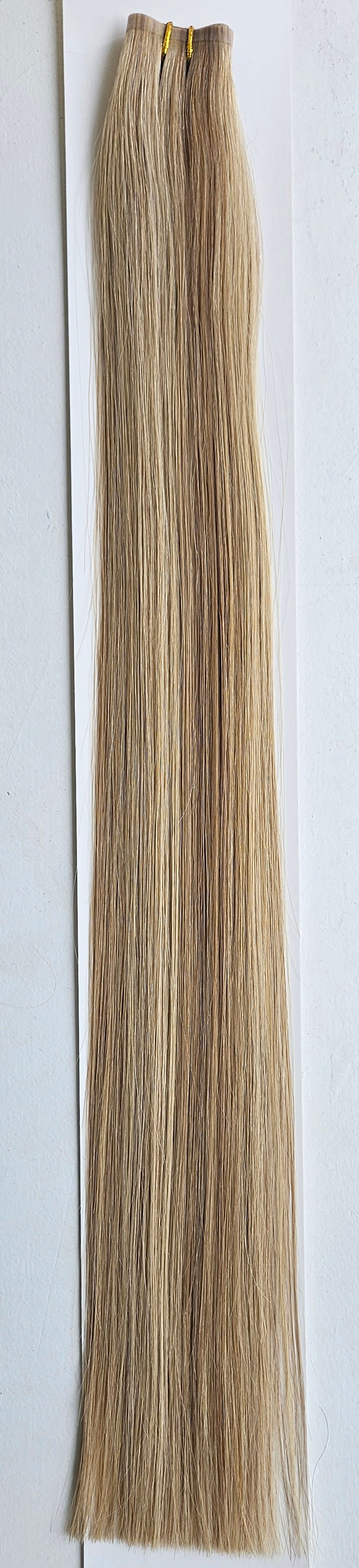 Human Hair Filler Clip-in Colour 10/22