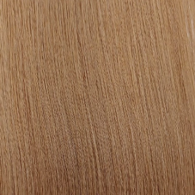 U-TIPS Colour 12 Human Russian Hair