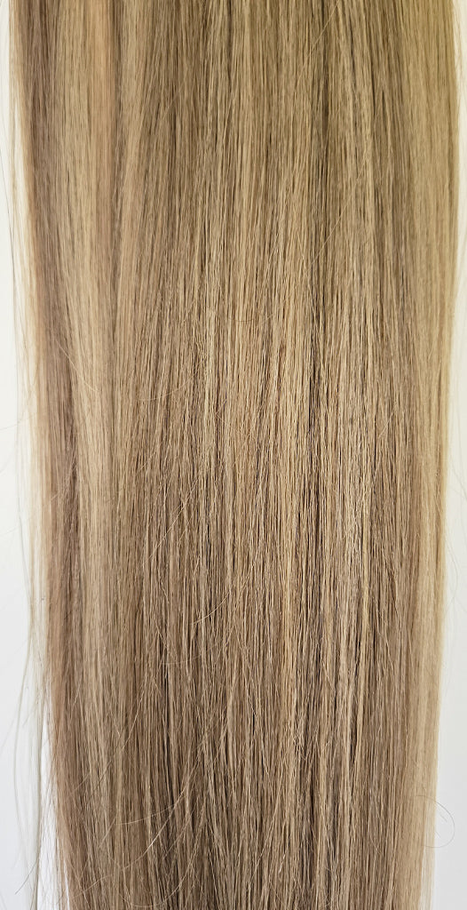 Human Hair Ponytail Colour 10/22